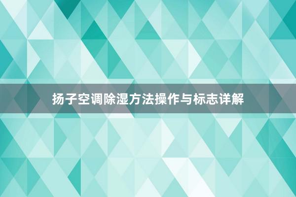 扬子空调除湿方法操作与标志详解